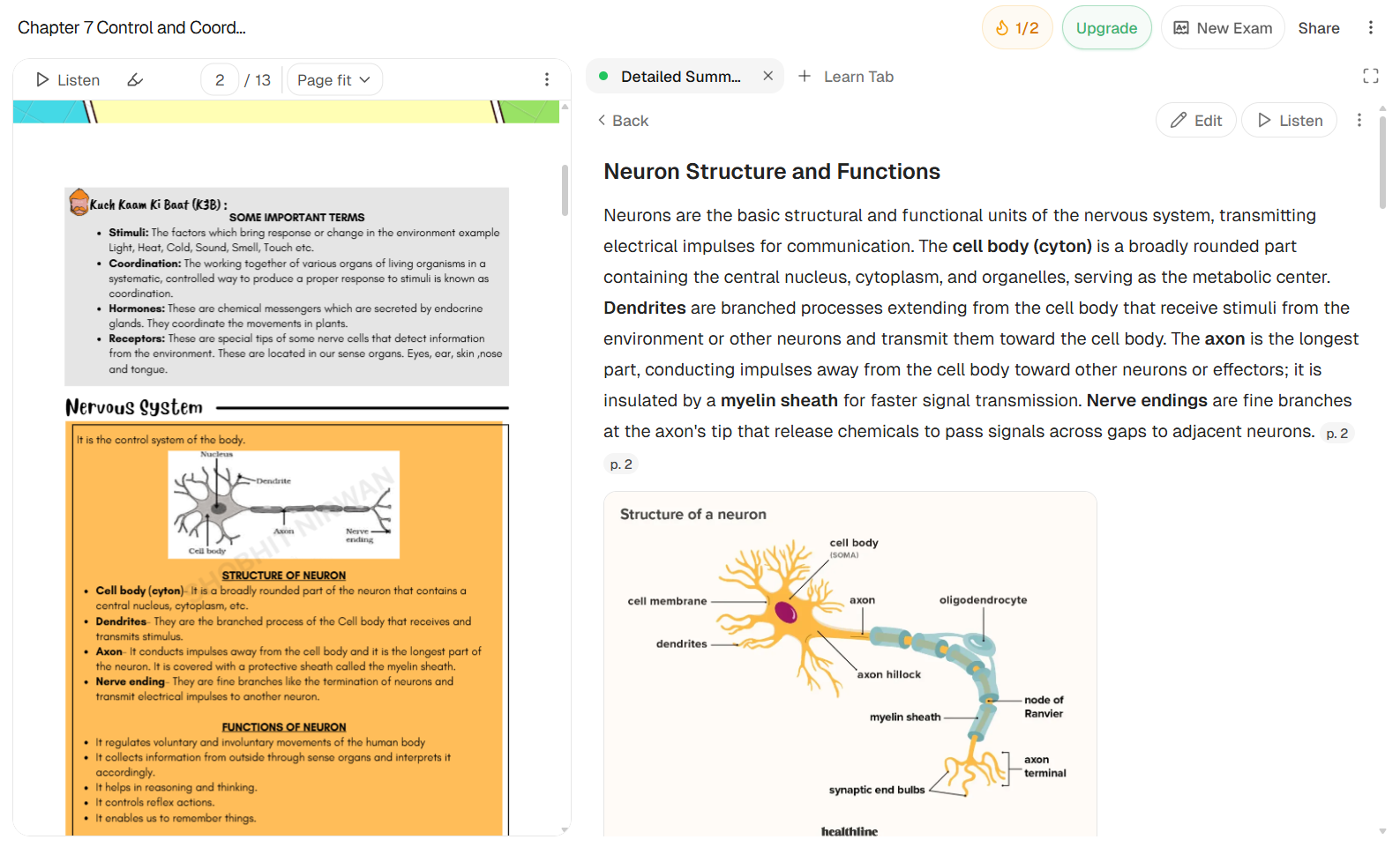YouLearn AI output showing Structured summary