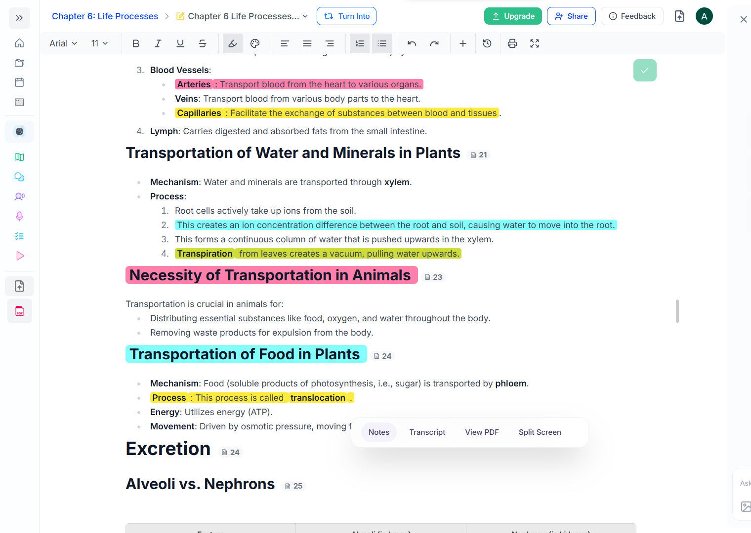 Output artifact for "Editable Study Workspace" test: Output: Editable notes workspace, {57B8C0C6-FF82-4263-8FDD-7A2957C0F187}-1 (1).png
