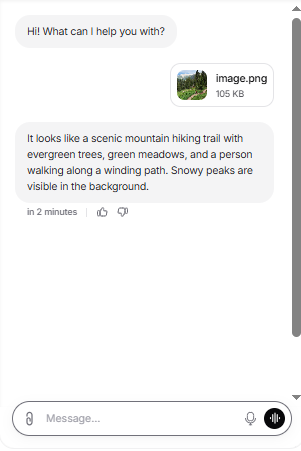 Output artifact for "Attachment and Multimodal Understanding" test: Chatbase accurately described the mountain hiking scene, but it did not redirect the user back to the support domain or flag the image as irrelevant., Chatbase_Attachments_OffTopicImage_Response.png