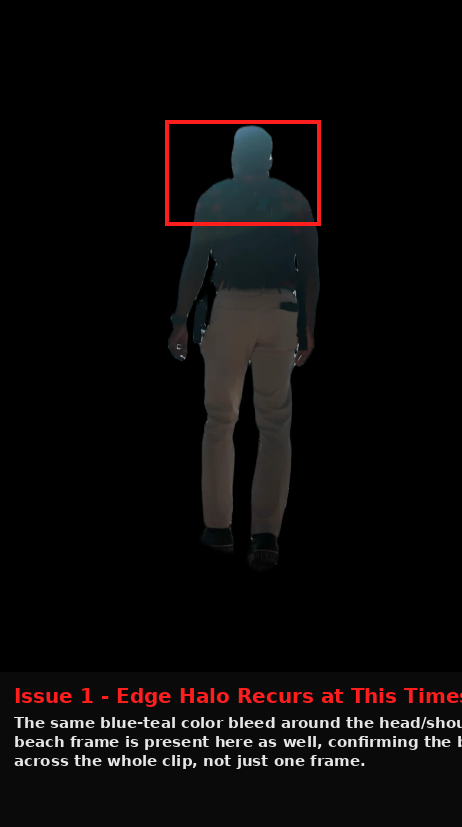 FlexClip output showing Issue evidence screenshot