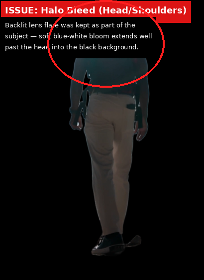 Bria.ai output showing Issue evidence screenshot