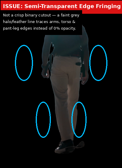 Bria.ai output showing Issue evidence screenshot