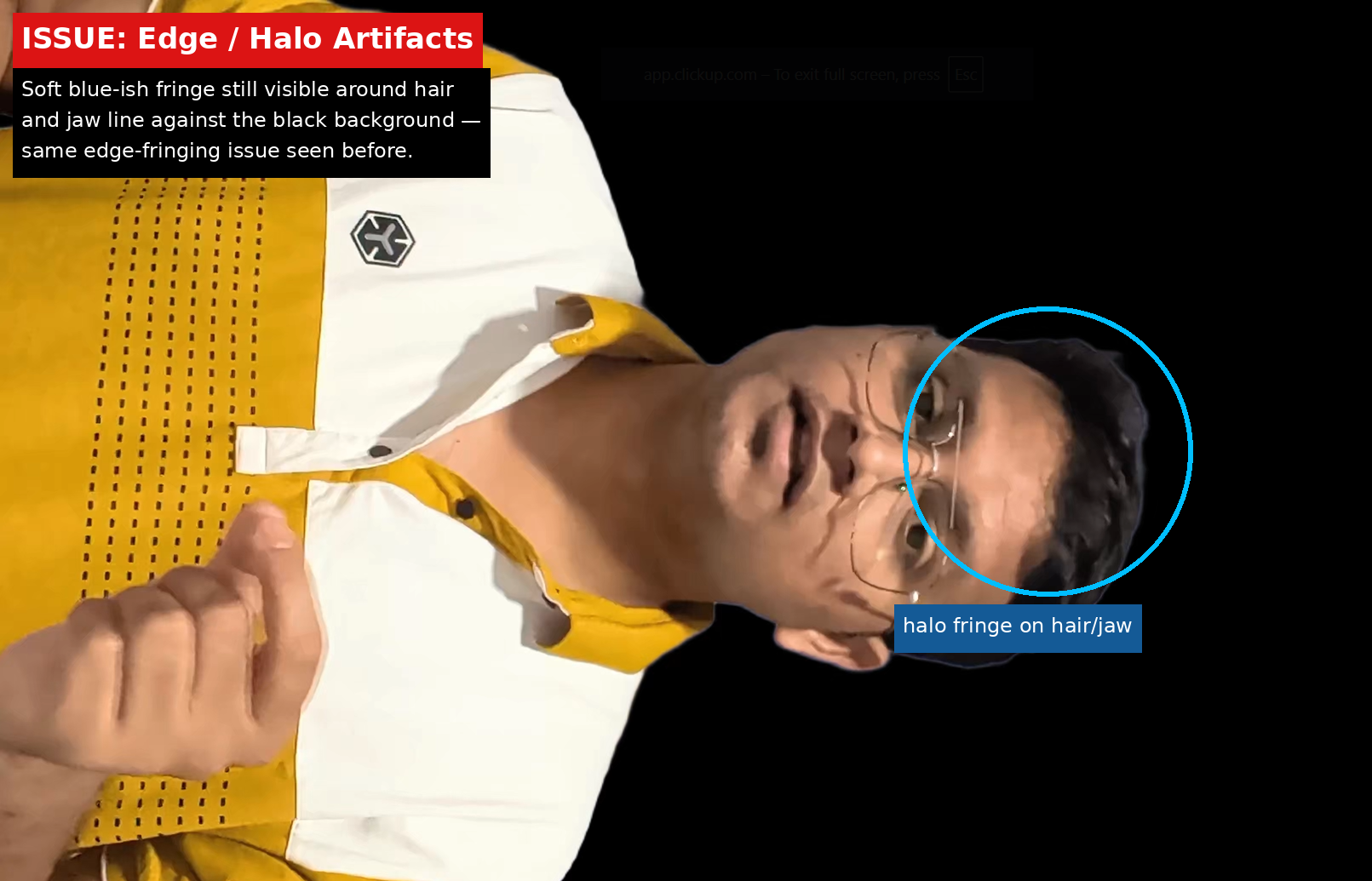 Bria.ai output showing Issue evidence screenshot