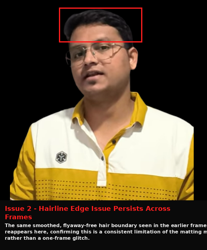 Cutout.Pro output showing Issue evidence screenshot