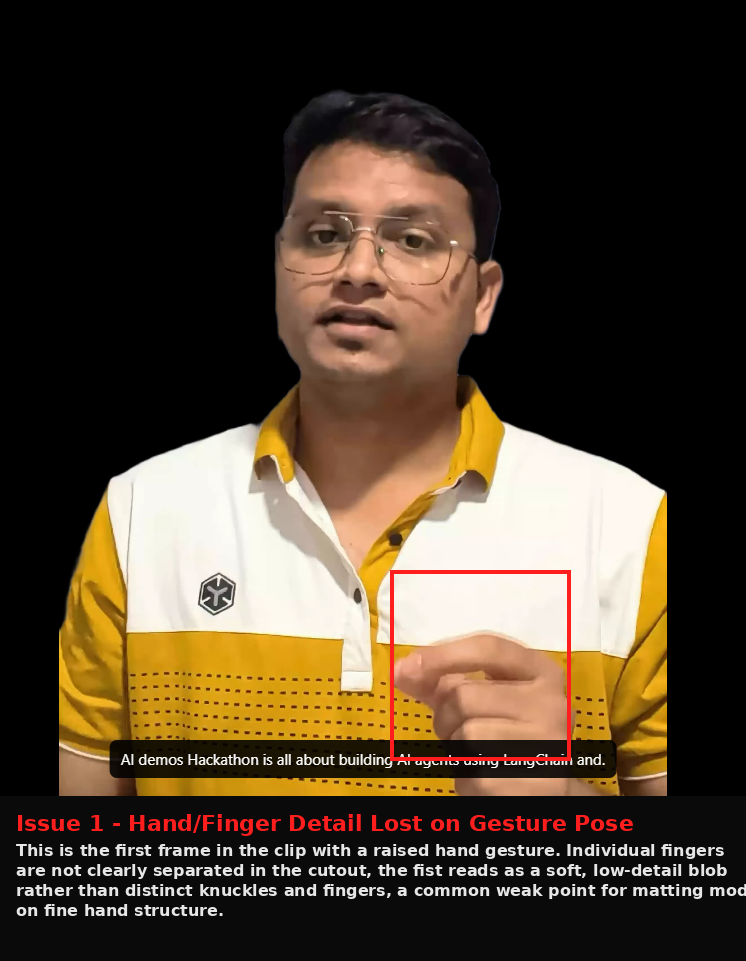 FlexClip output showing Issue evidence screenshot