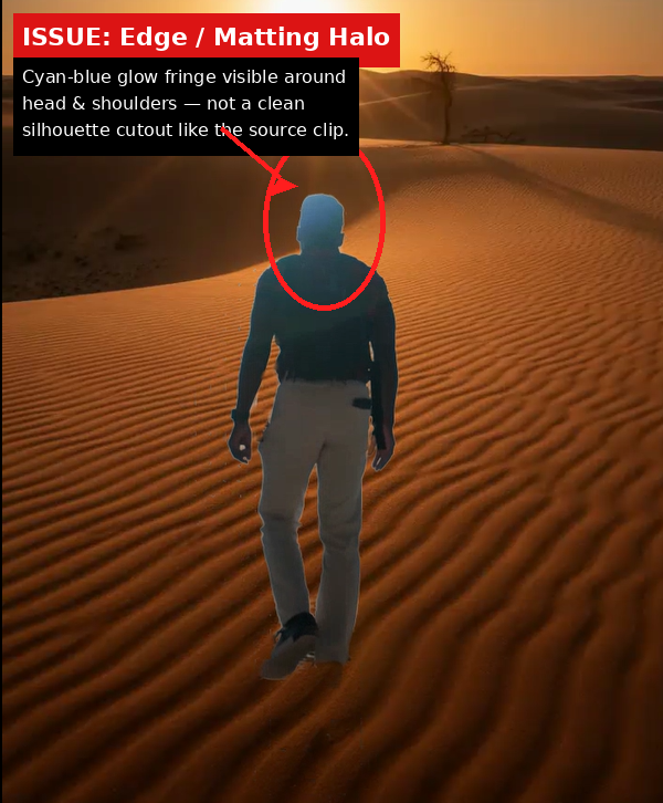 Descript output showing Issue evidence screenshot