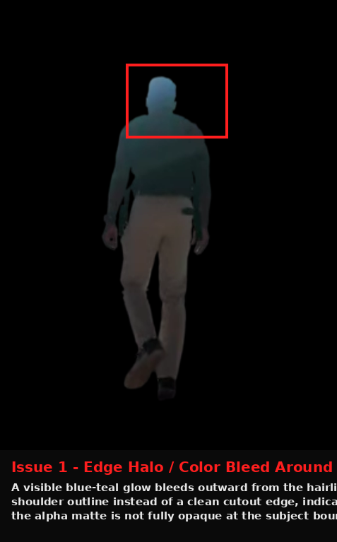 Cutout.Pro output showing Issue evidence screenshot
