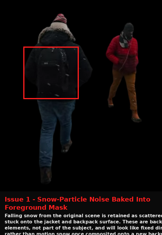 Cutout.Pro output showing Issue evidence screenshot