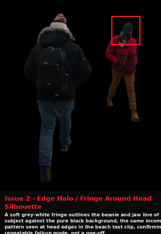 Cutout.Pro output showing Issue evidence screenshot