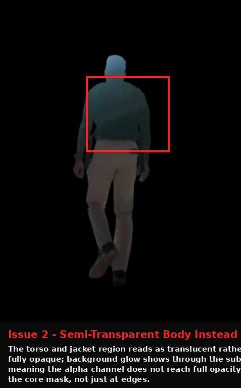 Cutout.Pro output showing Issue evidence screenshot