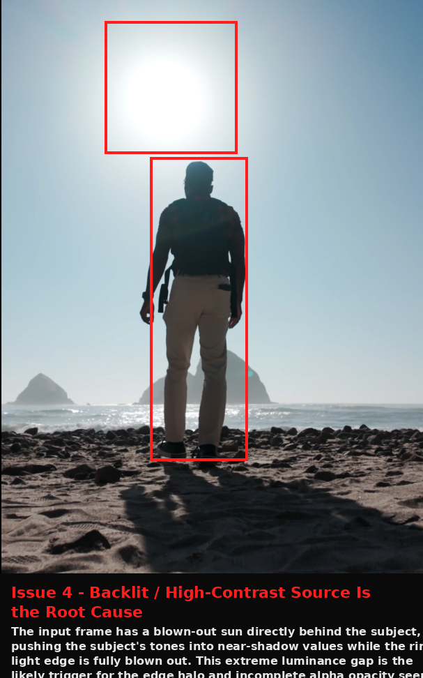 Cutout.Pro output showing Issue evidence screenshot
