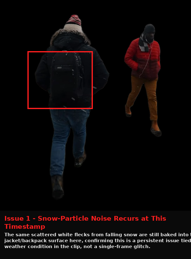 FlexClip output showing Issue evidence screenshot