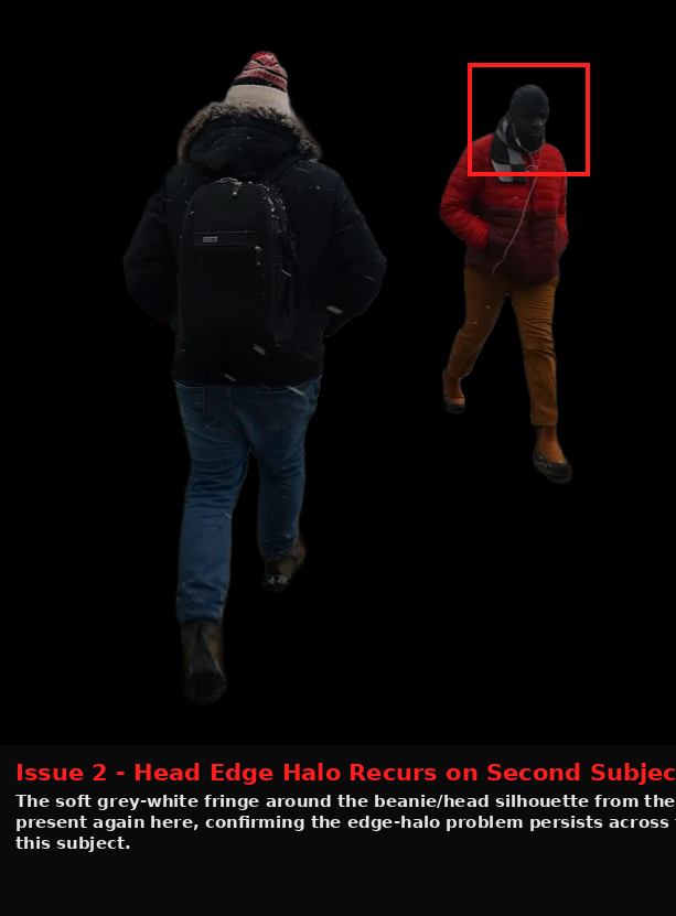 FlexClip output showing Issue evidence screenshot