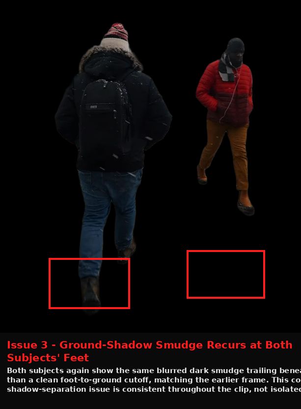 FlexClip output showing Issue evidence screenshot