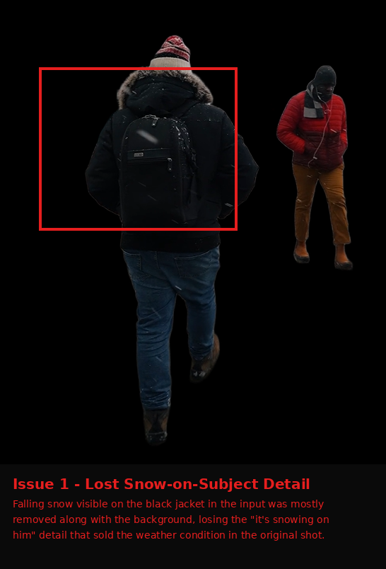 Bria.ai output showing Issue evidence screenshot