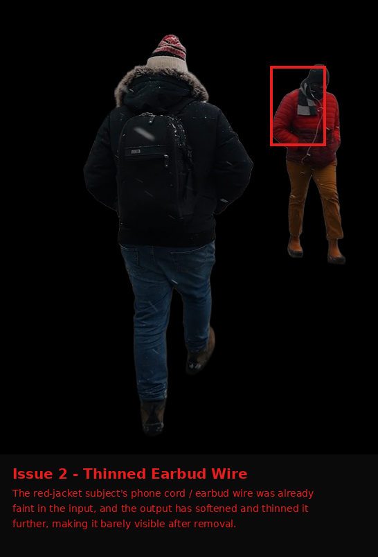 Bria.ai output showing Issue evidence screenshot