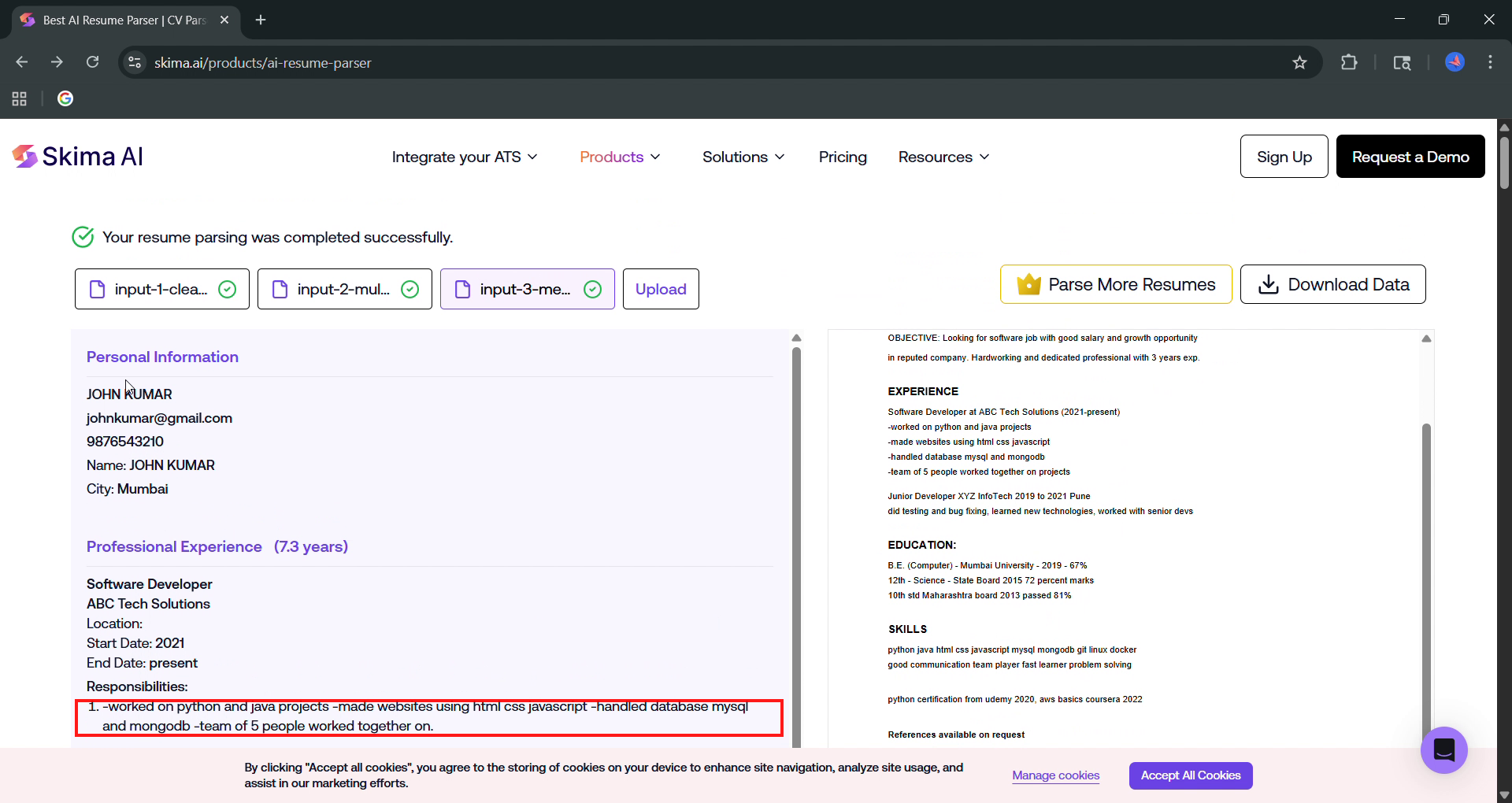 Output artifact for "Automated Resume Parsing" test: The parser accepted the messy resume and returned a result page rather than failing, but the extracted responsibilities were badly formatted., skima_task3_runon-string.png