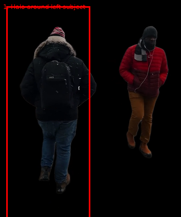 Output artifact for "Background Removal and Subject Isolation" test: Both subjects were isolated from the busy outdoor scene, but halos remained around the outer edges, the fur hood and jacket edges were rough, backpack edges showed artifacts, and earphone/scarf details were not perfectly preserved., veed-io-issue1-halo-3f4cfbb165ff.png